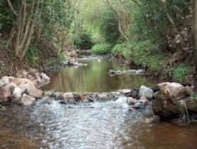 River pools created with stone groins
